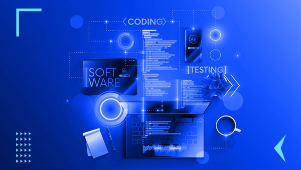 Web Developer